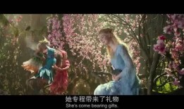 公主的电影全集在线观看,全集电影在线观看之旅